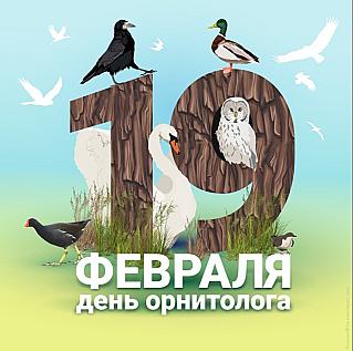 19 февраля – День орнитолога в России