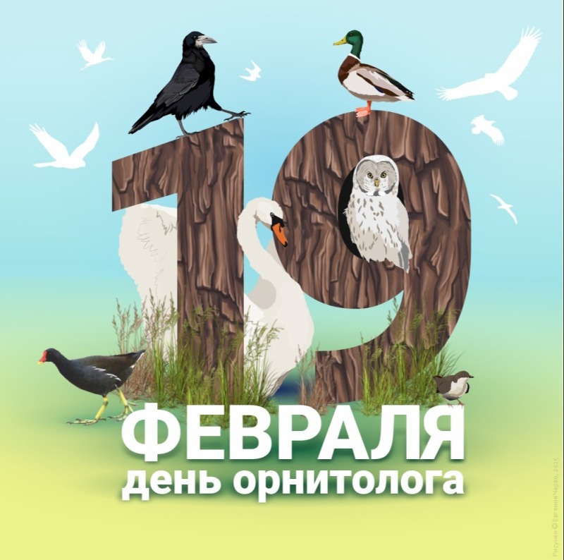 19 февраля – День орнитолога в России