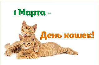 1 марта - День кошек