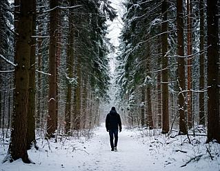 Пребывание на природе помогает справиться со стрессом