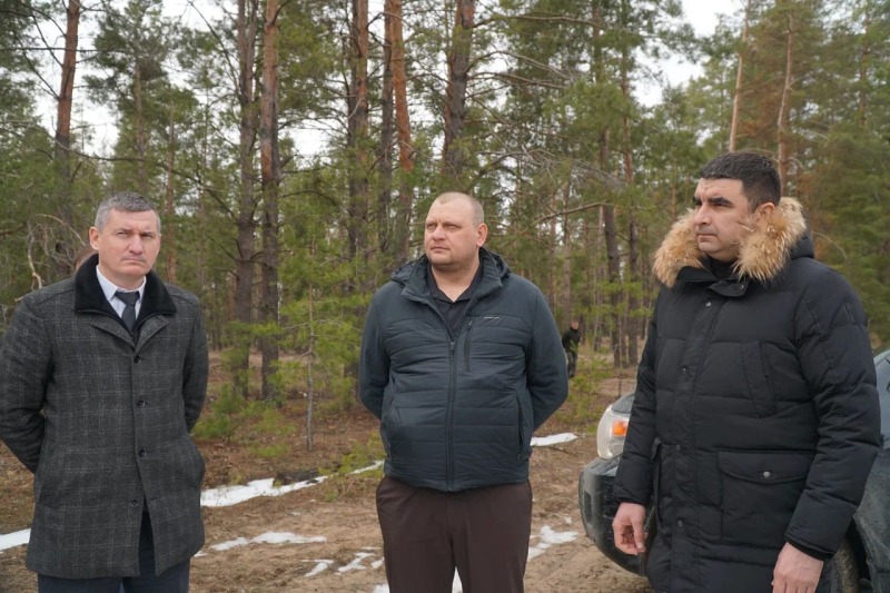 На восстановление донских лесов направят 138 млн рублей