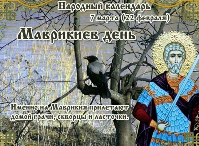 Маврикиев день: к каким работам приступали 7 марта