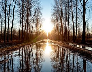 Почему март может навредить здоровью?