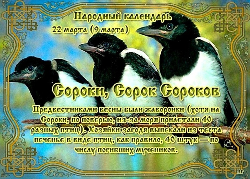 Сороки, Сорок Сороков: что можно и что нельзя делать 22 марта?