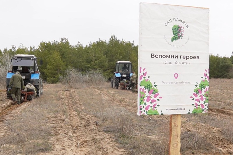 В честь погибших, во славу живых: Ростовская область присоединилась к акции «Сад памяти»