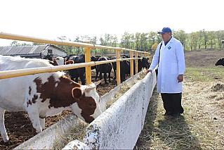 На Дону началась весенняя вакцинация сельхозживотных