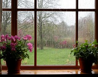 Сюрприз от синоптиков: в Ростовской области тепло прервут дожди, а местами — снег