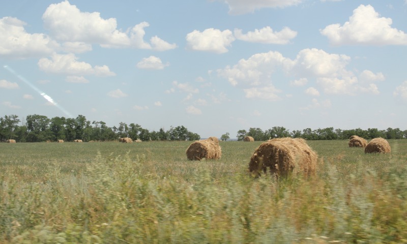 За пал травы грозит штраф до 3 миллионов рублей