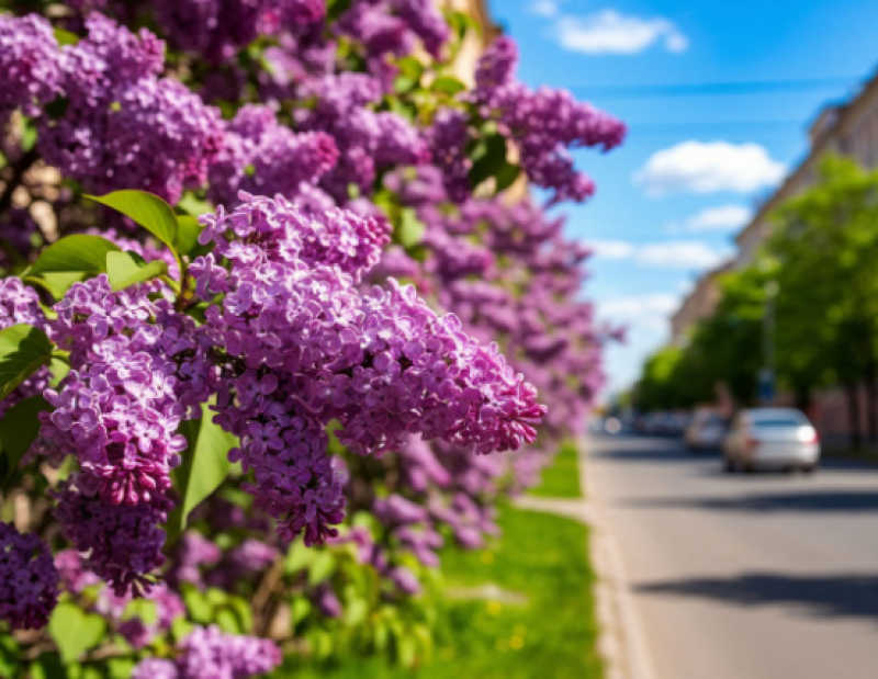 В мае световой день прибавится на 2 часа