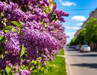 В мае световой день прибавится на 2 часа
