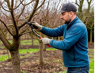 Во саду или в огороде: работа на земле снижает стресс