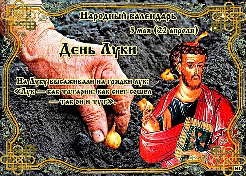 День Луки: в чем 5 мая поможет лук?
