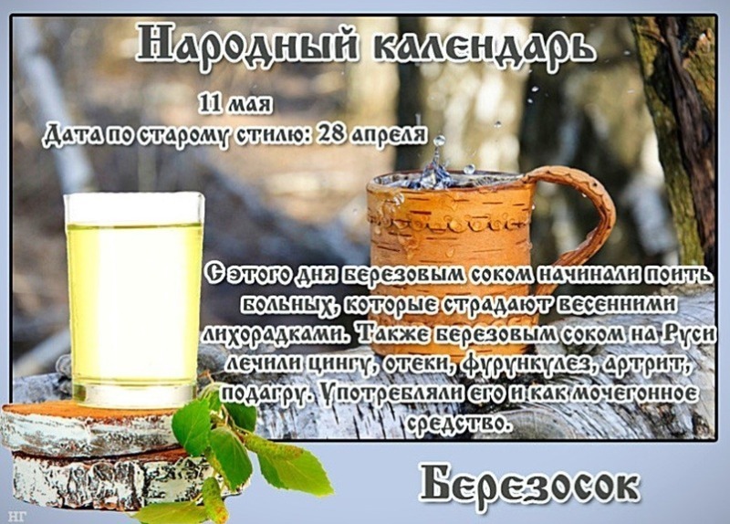 Березосок: чем 11 мая отличается от остальных дней в календаре?