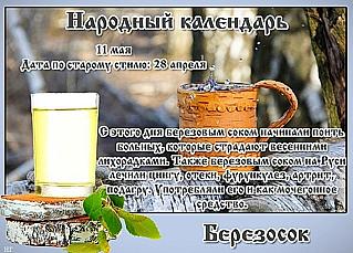 Березосок: чем 11 мая отличается от остальных дней в календаре?
