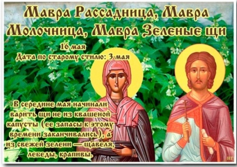 Мавра Рассадница: для кого 16 мая – особенный день и почему?