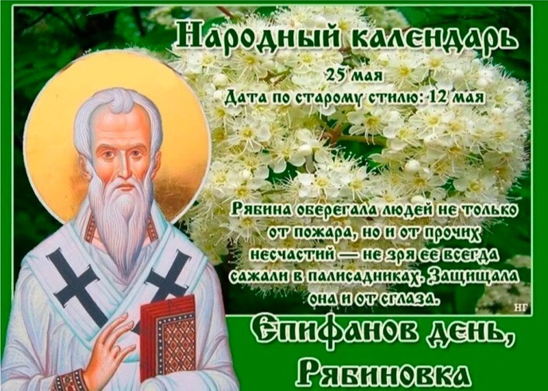 Епифанов день: в чем 25 мая может помочь рябина?