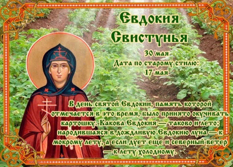 Евдокия свистунья: для каких дел 30 мая может оказаться неудачным?