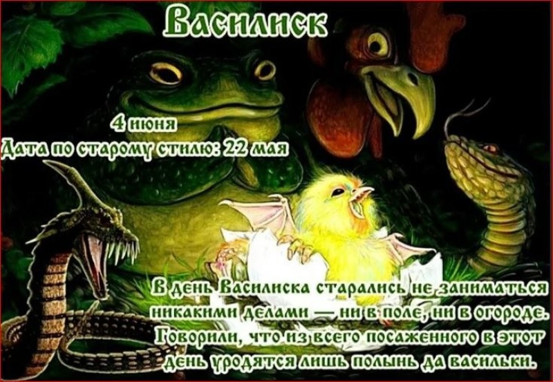 Василиск: почему 4 июня старались не заниматься никакими делами?