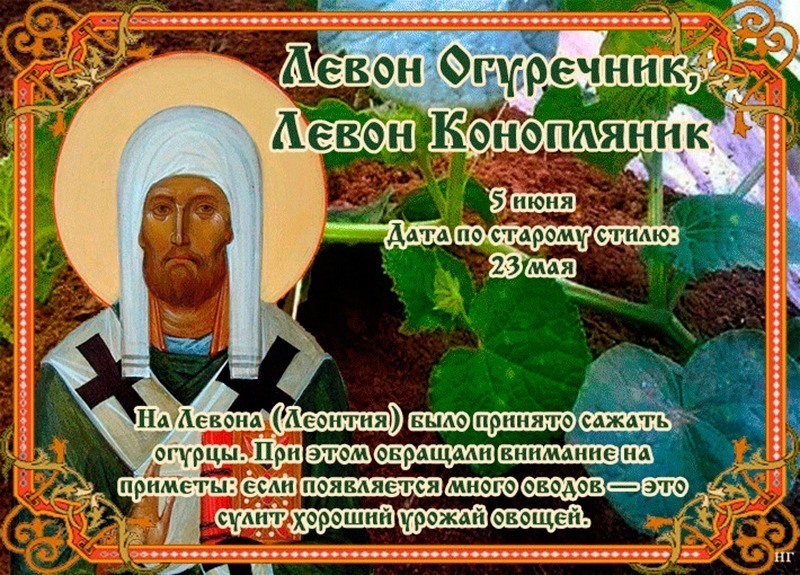 Левон Огуречник, Левон Конопляник: какие культуры сажали 5 июня?