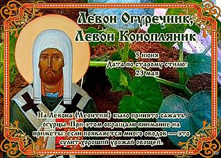 Левон Огуречник, Левон Конопляник: какие культуры сажали 5 июня?