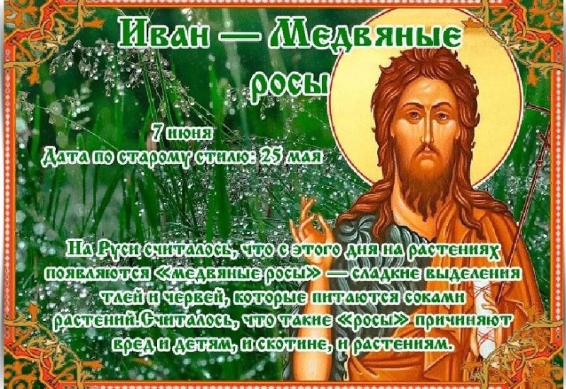 Иван — Медвяные росы: какие приметы 7 июня предвещали хороший урожай?