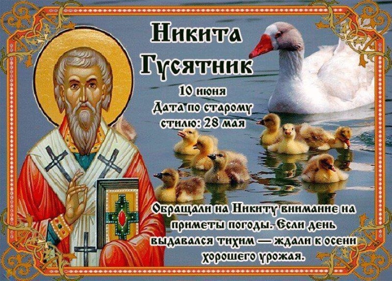 Никита Гусятник: два важных запрета, которые обязательно стоит соблюдать 10 июня