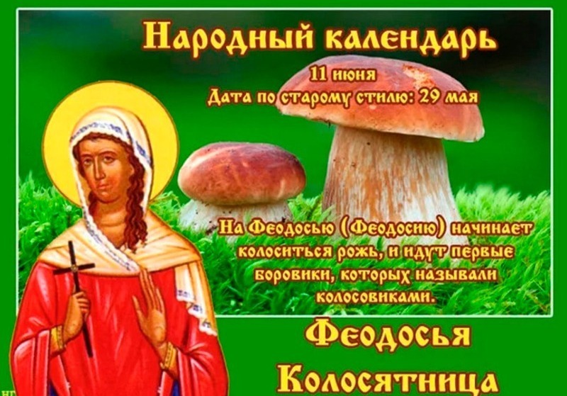 Феодосья Колосятница: что не стоит делать 11 июня, чтобы не навлечь на себя болезни и неприятности?