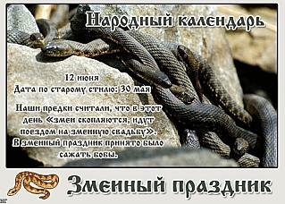 Змеиный праздник: какие приметы важно знать и соблюдать 12 июня?