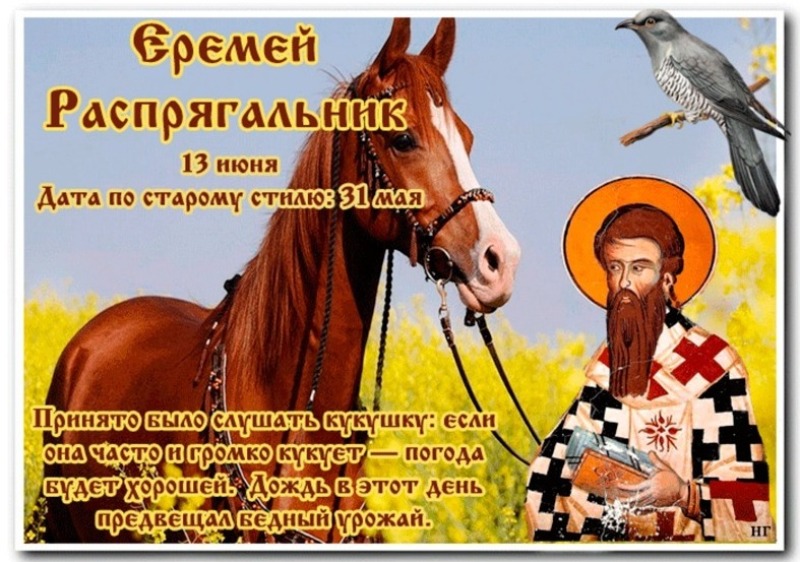 Еремей Распрягальник: почему 13 июня стоит прислушаться к кукушке?