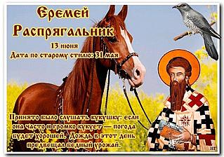 Еремей Распрягальник: почему 13 июня стоит прислушаться к кукушке?