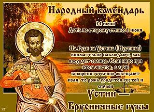 Устин — Брусничные губы: главные запреты и приметы на 14 июня