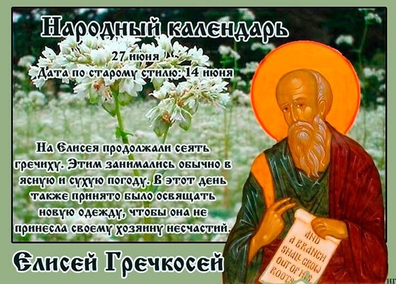 Елисей Гречкосей: к чему 27 июня нужно подойти с особой ответственностью, чтобы избежать проблем с деньгами?