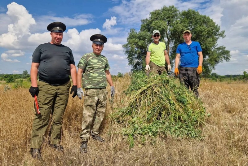 В Советском районе объединили силы против конопли
