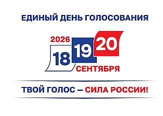 ЦИК России объявил сроки и формат дистанционного электронного голосования