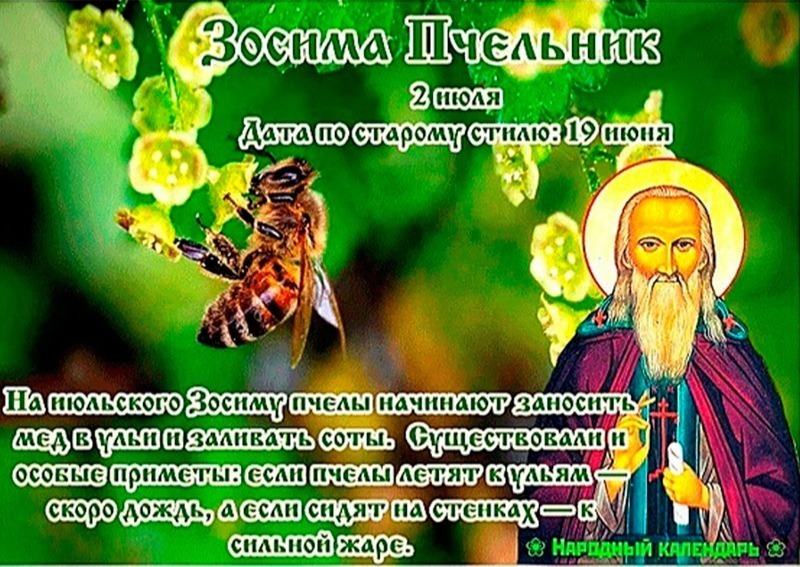 Зосима Пчельник: о чем 2 июля могу поведать пчелы?