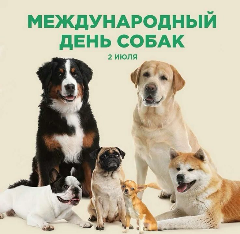 2 июля - Международный день собак