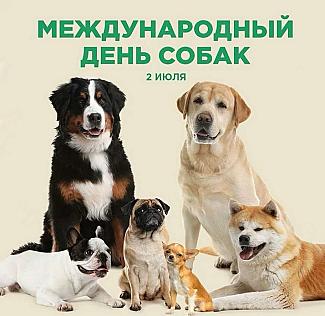 2 июля - Международный день собак