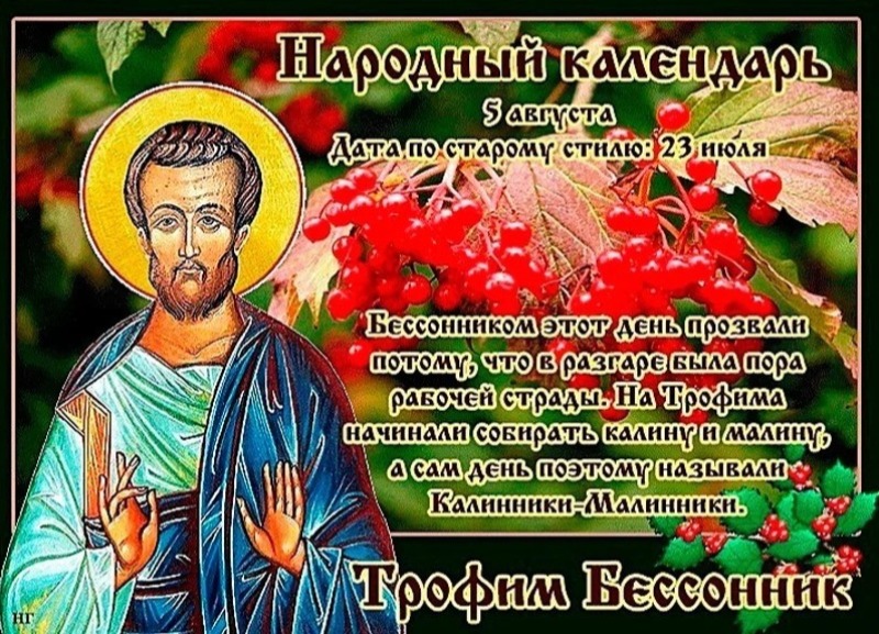 Трофим Бессонник: какие ягоды заготавливали 5 августа?