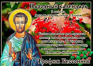 Трофим Бессонник: какие ягоды заготавливали 5 августа?