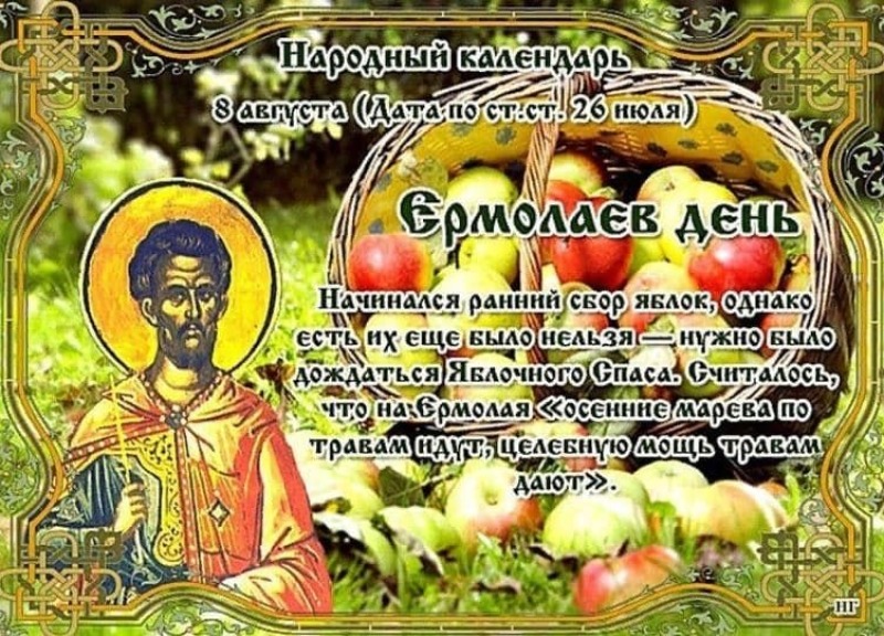 Ермолаев день: почему 8 августа знахари спешили в леса и луга?