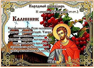 Калинник: на какие приметы обращали внимание 11 августа?