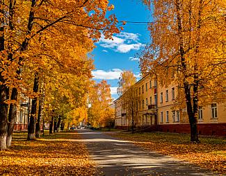 Каким будет бабье лето в нынешнем году?