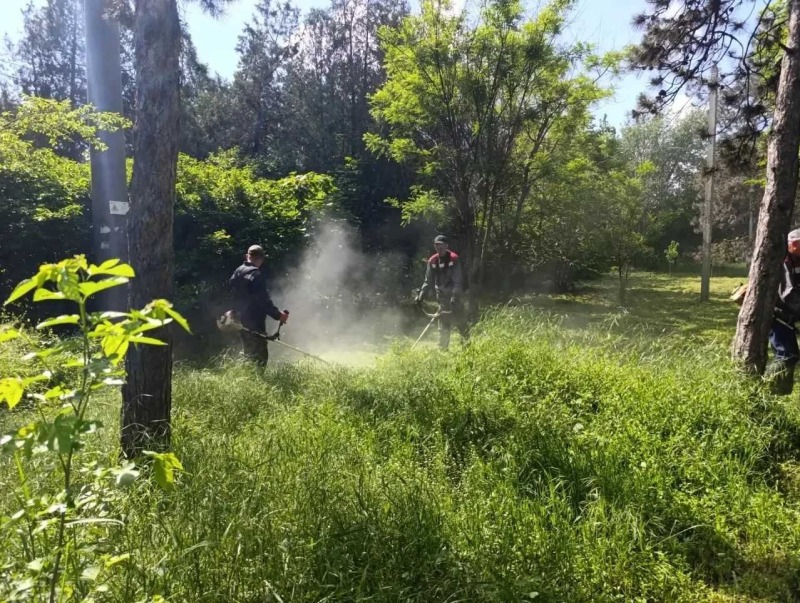 Главам муниципалитетов поручено усилить борьбу с амброзией и сорняками