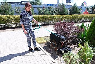 Антитеррор в школах: на Дону пройдут учения