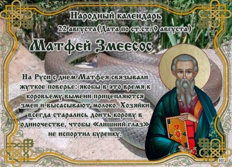 Матфей Змеесос: чего следует избегать 22 августа?