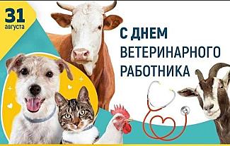 31 августа - День ветеринарного работника
