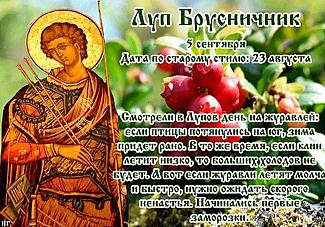 Луп Брусничник: главные запреты, которые следует соблюдать 5 сентября, чтобы не потерять удачу и благополучие