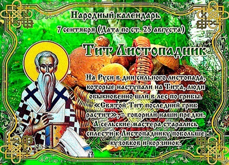Тит Листопадник: что обязательно нужно сделать 7 сентября для здоровья и бодрости?