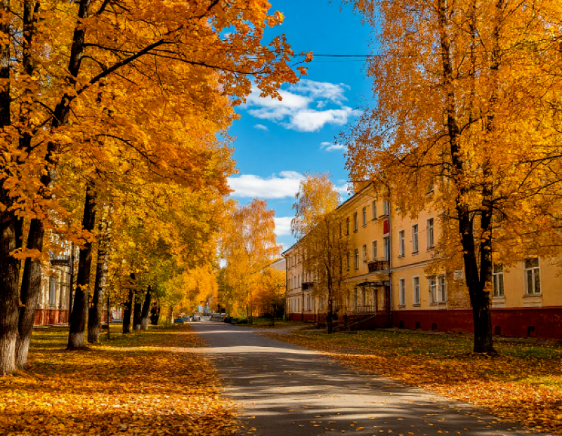 Почему в межсезонье возрастает риск простуды?