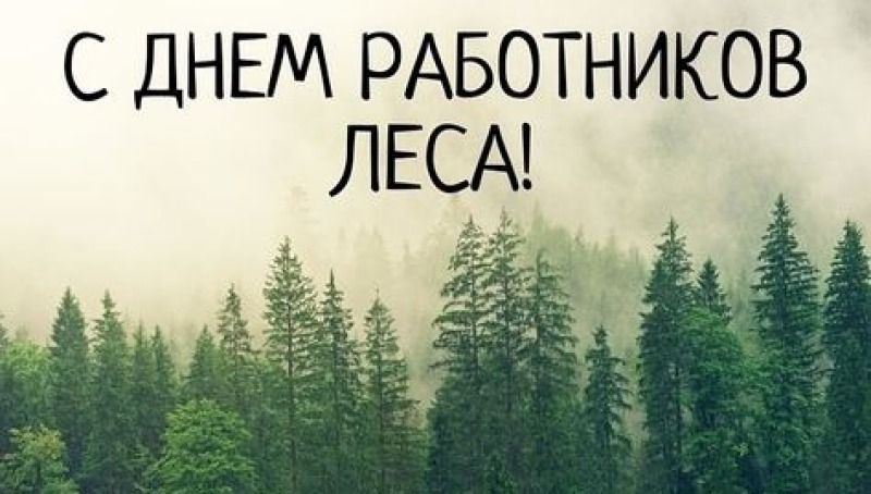 20 сентября - День работников леса